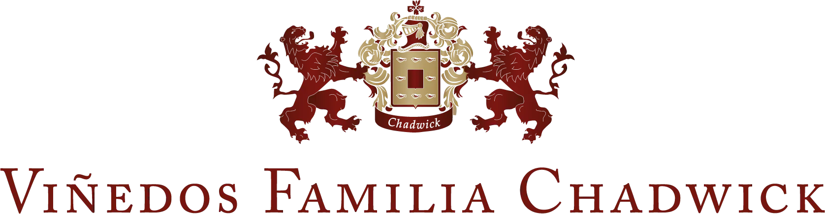 logo_vfch